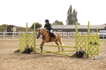SBM_001036