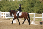 SBM_010582