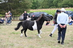 WJ6_5549