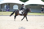 Area 15 PC SJ at Bicton 26-07-25 portfolio