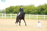 SBM_006484