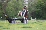 Class 12 - 17 years and over portfolio