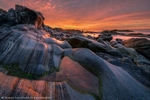 Polished Cove