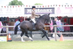 SBM_11220