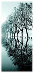 CS13  REFLECTIONS, KNAVESMIRE RD, YORK
