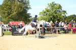 SBM_39287