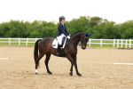 SBM_006338