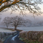 Frosty Mist in the Eden Valley (Newby)