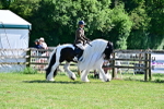 SBM_19379