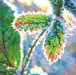 dawn frost