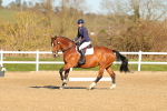 SBM_003451