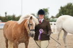 Class 317 - IH Pure Bred Horse-Pony portfolio