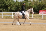 SBM_000323