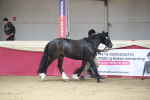 SBM_00592