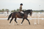 SBM_01848