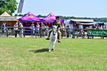 SBM_13960