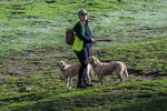 Dovedale-1