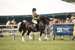 SBM_09134