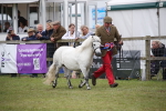 SBM_09751