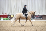 SBM_018797