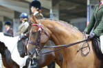 SBM_09683