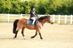 SBM_006426