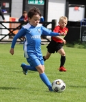 Wattsfield Under 7's portfolio