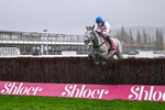 141125-Race 4-LEau du Sud-0419