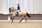 SBM_000468