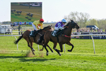 080426-Race 4-Evocative Spark-0360