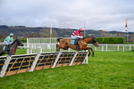 121225-Race 3-Moutarde-4996