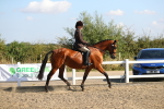 SBM_02202