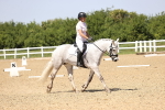 SBM_009146