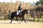 SBM_009876