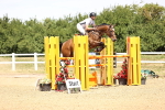 SBM_001262