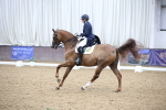 SBM_004755