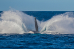 HB 40 ton Splash 1. 0A3A5897 - Copy
