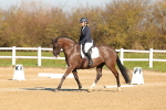 SBM_000784