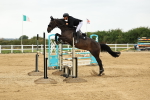SBM_003732