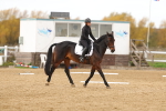SBM_001344
