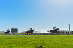 220426-Race 3-Cranachan-0672