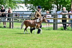 SBM_03549