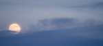 SOLSTICE MOONRISE - GREENSPOND