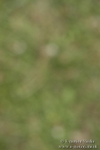 BVR160717-1475