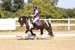 SBM_012310