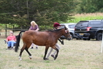 WJ6_6177