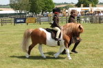 SBM_05265