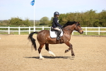 SBM_000941