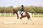 SBM_007340
