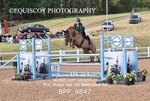 BPP_9847